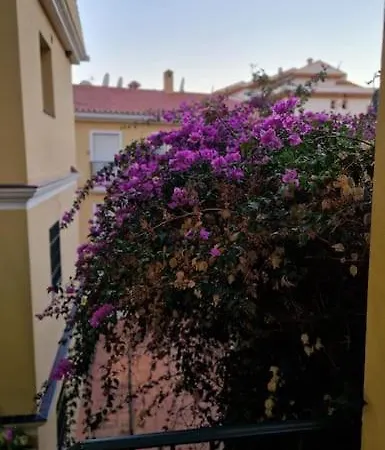 Sea View Garden Oasis Apartment *